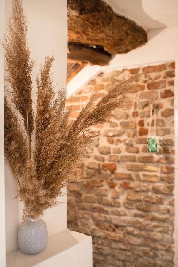 Bed and Breakfast La Trave Montecosaro  Экстерьер фото